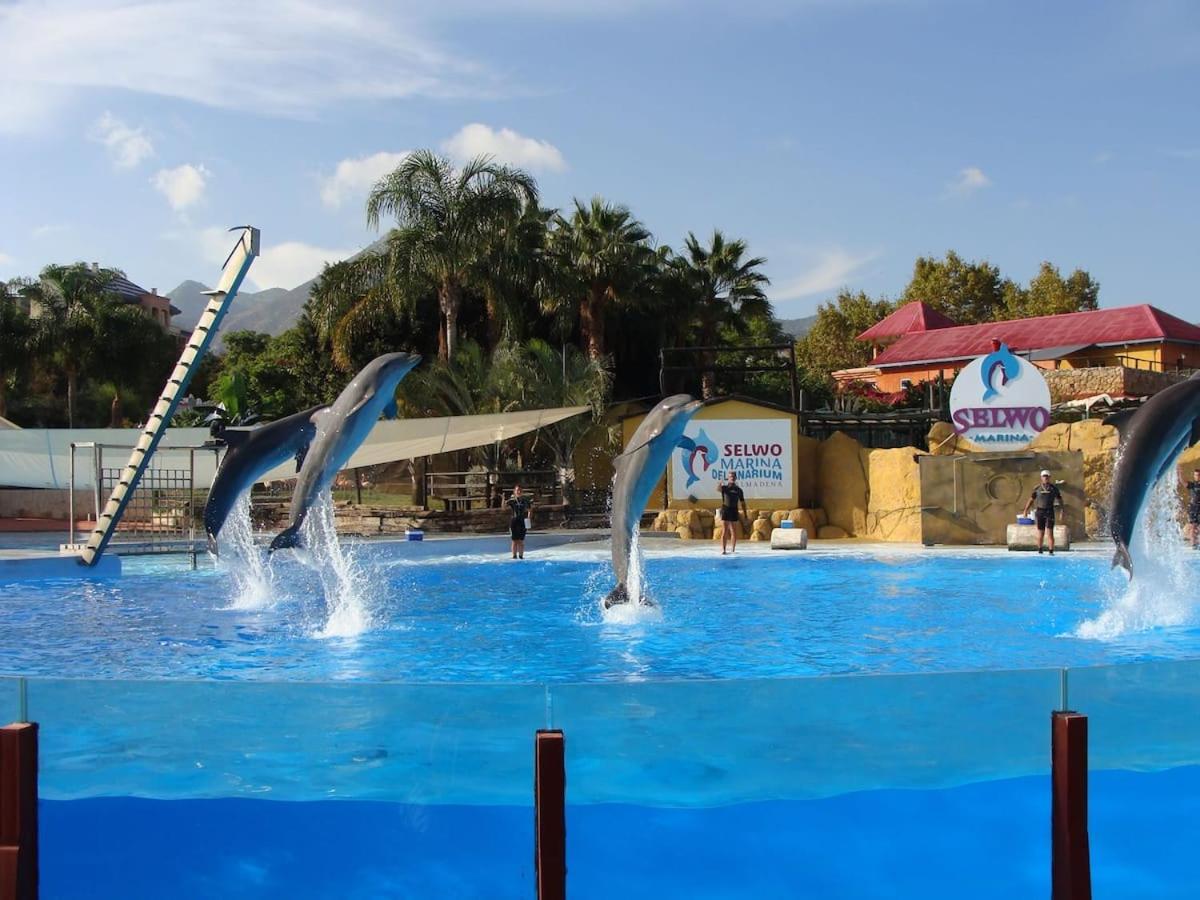 Holiday Puerto Marina - Costa Del Sol Real Estate Lejlighed